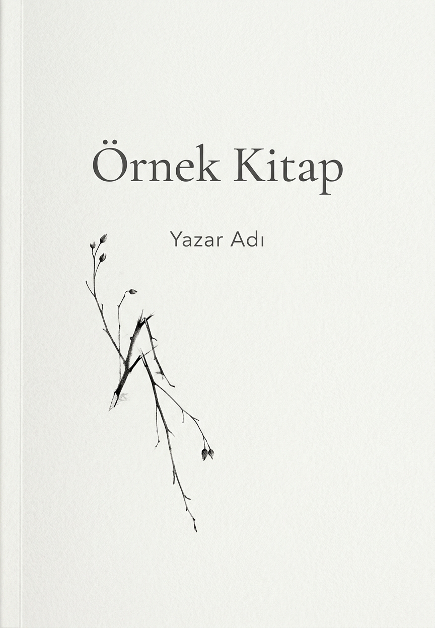 Beyaz Alan